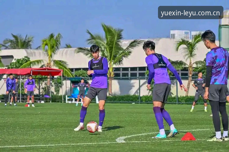 LEYU APP下载 乐鱼体育平台APP使用评测:从下载到实战,一个记者的全程体验